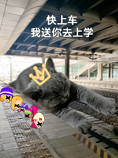 (猫 火车 表情包)寻找猫猫列车的秘密基地:探访全国各地的猫猫列车位置和特点 (猫 火车 表情包)寻找猫猫列车的秘密基地:探访全国各地的猫猫列车位置和特点