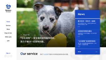 (宠物之家网页)宠物之家官网:专为爱宠打造的完美家园