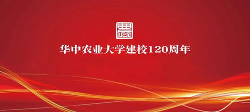 忘却前夜周年庆几号:重温岁月流逝,岁月静好,周年庆典即将举行 忘却前夜周年庆几号:重温岁月流逝,岁月静好,周年庆典即将举行