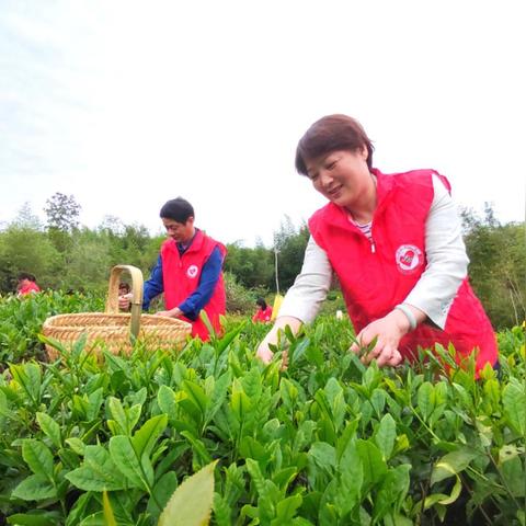 (凌云诺最新版本)凌云诺敏捷多少合适?如何确定项目规模和团队资源配置? (凌云诺最新版本)凌云诺敏捷多少合适?如何确定项目规模和团队资源配置?