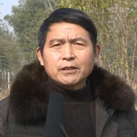 深度解析《仙人之上》剧组演员表:聚焦主创阵容层次构建与角色性格塑造