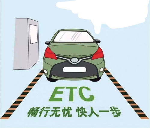 《猫之宿约者》为何在各大平台下架?背后原因及其影响深度分析 《猫之宿约者》为何在各大平台下架?背后原因及其影响深度分析