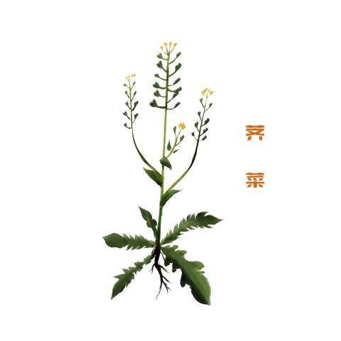 (葫芦兄弟无限金币无限钻石版)如何正确安装并享受葫芦兄弟游戏的无尽乐趣? (葫芦兄弟无限金币无限钻石版)如何正确安装并享受葫芦兄弟游戏的无尽乐趣?