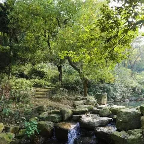 探寻仙境之谜,感受奇兵力量——仙境奇兵手游全新上线,等你来挑战! 探寻仙境之谜,感受奇兵力量——仙境奇兵手游全新上线,等你来挑战!