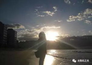(晴空下的幸福)在晴空之下:追寻梦想与希望的心灵旅程 (晴空下的幸福)在晴空之下:追寻梦想与希望的心灵旅程