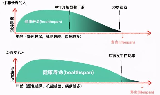 细胞成长记录:探索细胞生命周期与发展轨迹,解码生命奥秘与健康密码。
