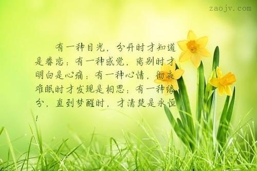 (形容对配偶失望和心凉的诗词)在爱情里迷失,对配偶失望心寒的诗句 (形容对配偶失望和心凉的诗词)在爱情里迷失,对配偶失望心寒的诗句