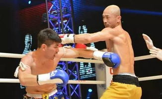 (搏击之王龙卷风)搏击3龙之荣耀高清版免费观看全集大厅推荐 (搏击之王龙卷风)搏击3龙之荣耀高清版免费观看全集大厅推荐