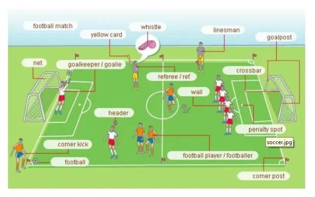 (足球读音发音)如何正确发音足球相关术语:深入学习足球语怎么读? (足球读音发音)如何正确发音足球相关术语:深入学习足球语怎么读?