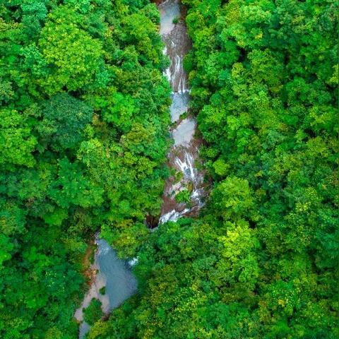(元气动森免广告)为何我的元气动森无法继续玩下去?分析常见问题及解决方法