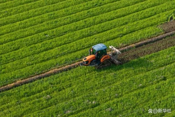 天中三分田:探索传统耕作智慧与现代农业科技的完美融合