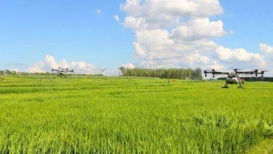 天中三分田：探索传统耕作智慧与现代农业科技的完美融合