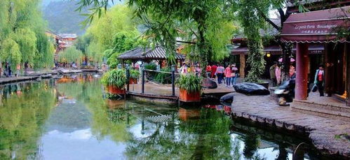 (云南丽江古城周边景点)探寻云南丽江古城周边的优质酒店 accommodations