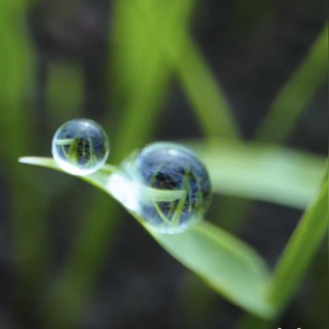 揭秘十二刻度的月计时(月之里侧),探寻月亮神秘的能量和象征意义