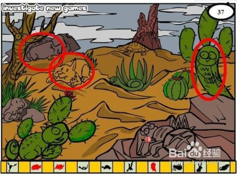 (隐藏的家伙沙漠爬行动物)探寻隐藏的家伙：沙漠攻略及隐秘之处探索指南