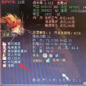 乾坤一掷：决定一切的意义和起源，背后隐藏着怎样的哲理和力量？