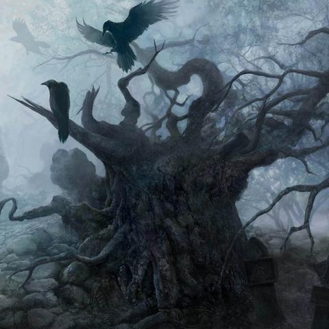 (穿越诸天万界修仙系统)万界修真录:穿越诸天万界,逆袭成最强修真者的传奇之旅 (穿越诸天万界修仙系统)万界修真录:穿越诸天万界,逆袭成最强修真者的传奇之旅