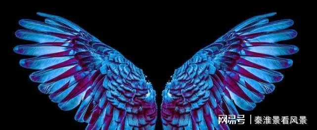 揭秘天使翼数:天使的翅膀到底有多少对?给你意想不到的答案!