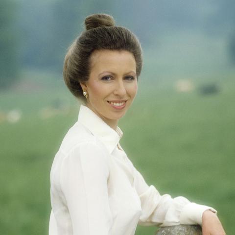 (安妮与魔法书官网)安妮与魔法书攻略:探寻魔法世界的奇妙之旅与惊心动魄的冒险