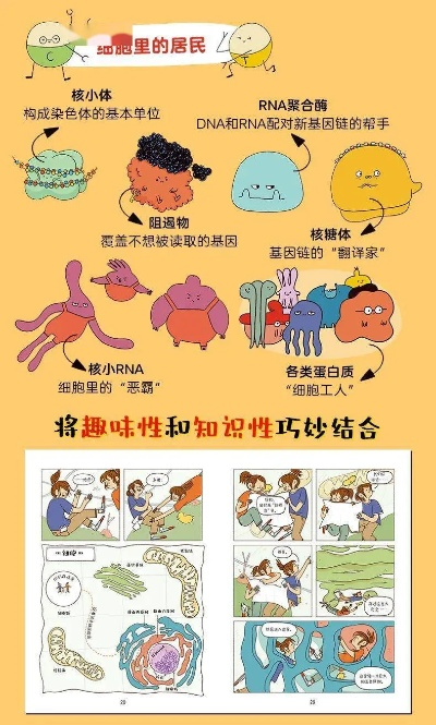 (细胞 人体)细胞世界历险记：揭秘人体内部环境的神奇运作与自然选择
