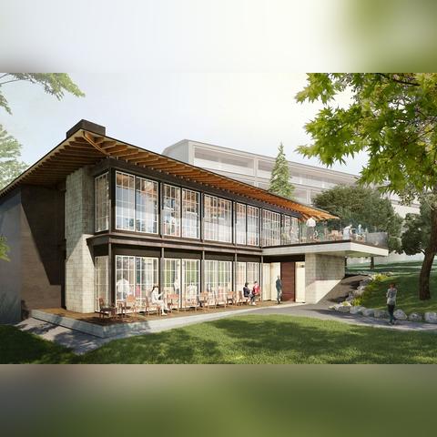 (石头画图案)100种石头画图片，灵感无限，艺术无限可能性。