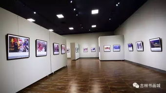 (记录片奇趣美术馆)探寻惊喜艺术之旅：奇趣美术馆第二季展览盛大启幕