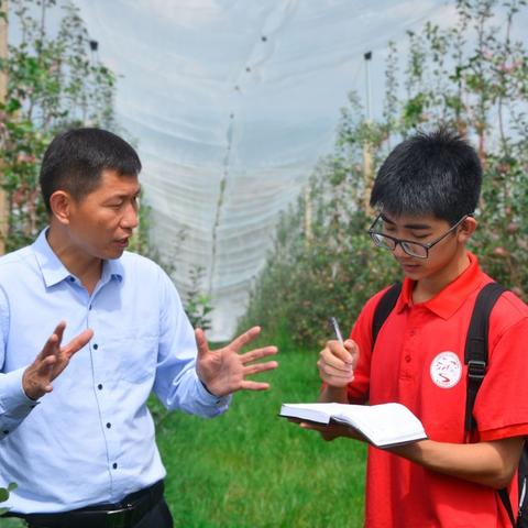 (漫游神话世界,感受永恒魅力)漫游五千年: 值得培养的英雄 — 寻找传世之谜，重塑命运之路