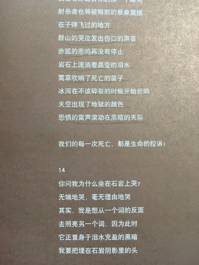 我的城堡说欢迎光临歌词是什么意思? 一首歌的背后隐藏着怎样的情感表达？