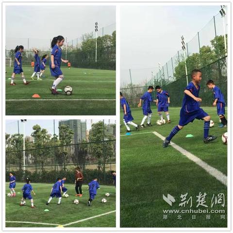 (绿茵信仰手游视频)绿茵信仰快手号登录：关于足球热爱的点滴分享