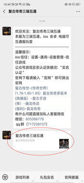 (复古单职业是什么意思)探讨复古单职业版对游戏产业的影响及其现状与发展趋势
